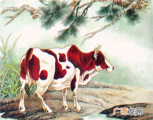 十二生肖最好出生时辰 12生肖最好命出生时间是哪些