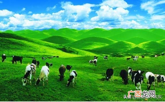 三河马三河牛的产地是,我国五大牧场分别是哪里？