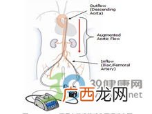 骨科什么意思,女生说想试一下骨科是什么意思？