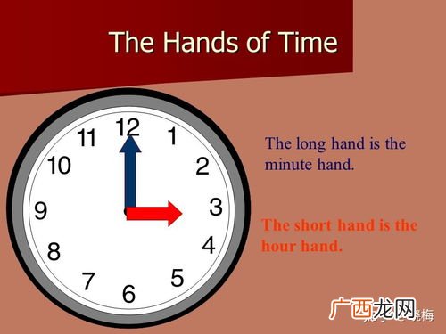 hand是什么意思,hand在英语里是什么意思？