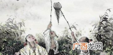 道旁李的道是什么意思,道旁李的道是什么意思？