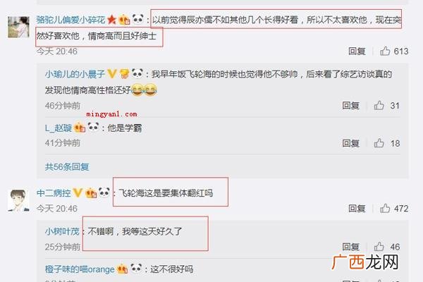 飞轮海车祸现场是什么梗？