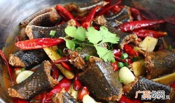 辣的菜有什么,你知道辣椒种类有哪些吗?