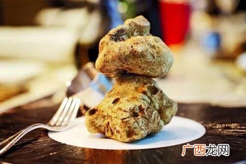 白松露是什么东西,松露与松茸是一个东西？