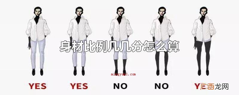 身材比例几几分怎么算
