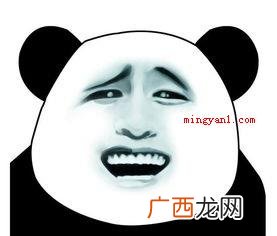 主人的任务罢了是什么梗？