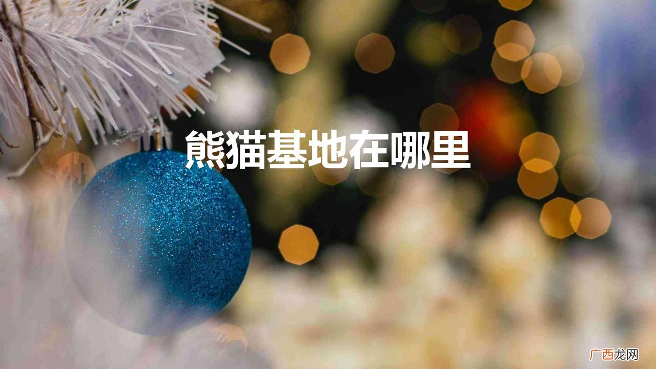 盘点国内几个最值得去的大熊猫基地 熊猫基地在哪里