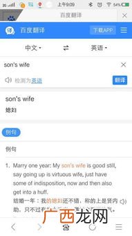 wife什么意思,wf什么意思网络用语？