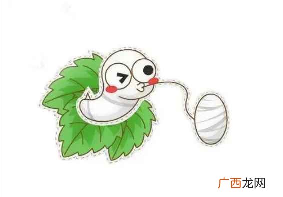 唐代诗人李商隐的一句“春蚕到死丝方尽,蜡炬成灰泪始干” 蚕吃什么
