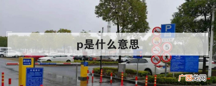 p是什么意思