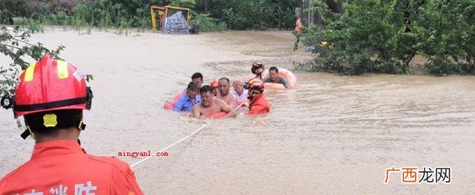 编号洪水是什么意思？