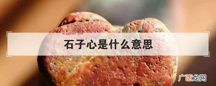 石子心是什么意思