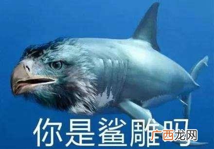 沙雕是什么意思什么梗？骂别人沙雕是什么意思？沙雕=傻屌