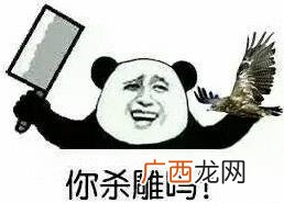 沙雕是什么意思什么梗？骂别人沙雕是什么意思？沙雕=傻屌