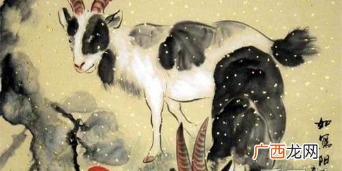 属羊全年运程财气详解 属羊的今年运势和财运怎么样