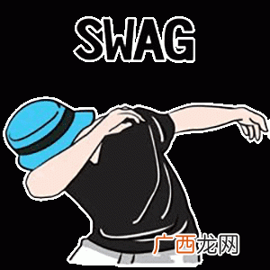 swag什么意思,SWAG是什么意思？