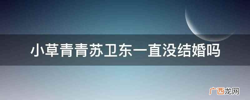 小草青青苏卫结婚了,但后来又离婚了 小草青青苏卫东一直没结婚吗