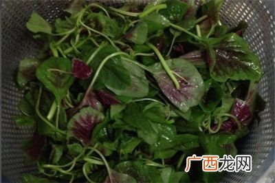红笕菜作用,红苋菜的种植时间与技术？