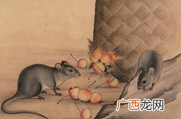 属牛与三个属相婚配最好 牛与什么生肖最配