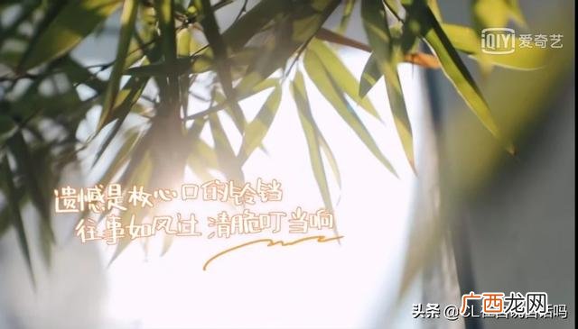 感情洁癖什么意思,感情洁癖宁缺毋滥什么意思？