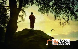 修行是什么意思,修行和渡劫有什么区别？