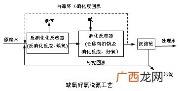 硝化菌的正确使用方法,硝化细菌和净水剂能同时用吗？
