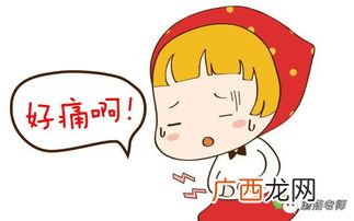 塞头是什么意思,包拉链头塞不进去怎么办？