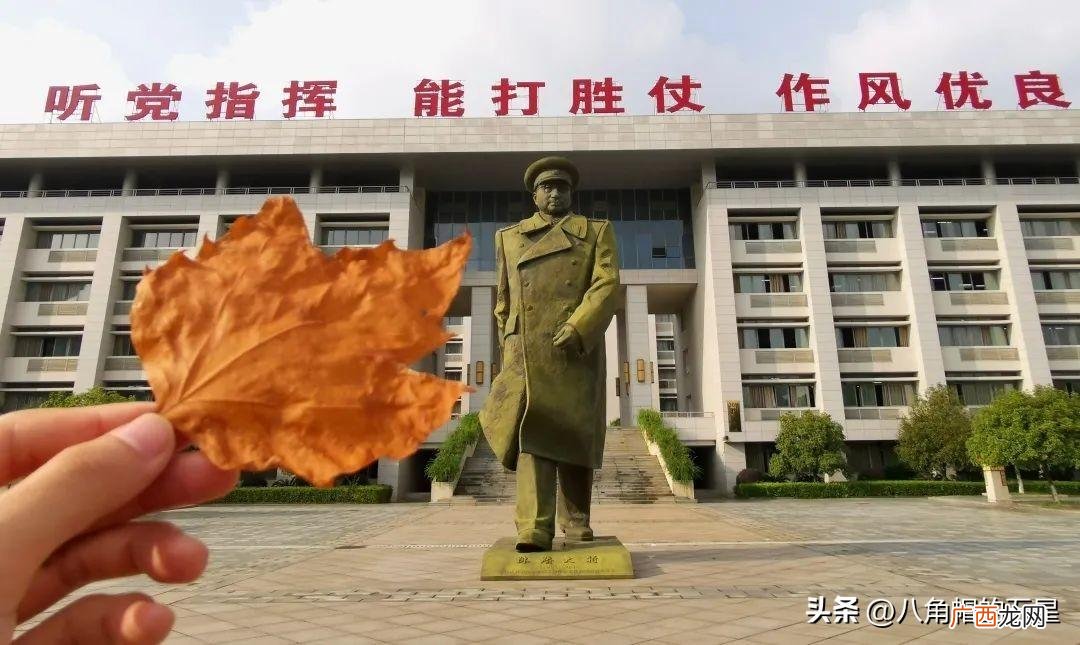 上军校以后有什么出路 考上军校以后的出路好不