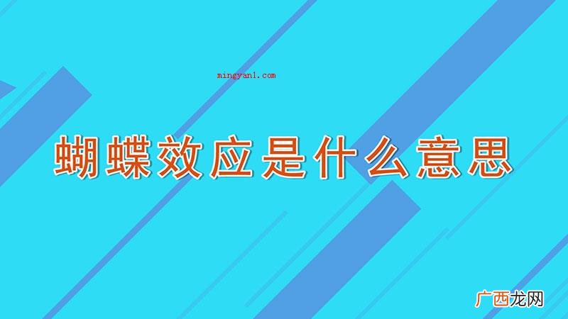 蝴蝶效应是什么意思