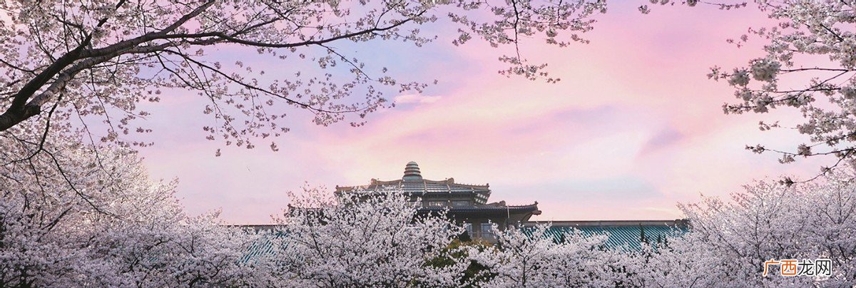 在武汉大学上学是一种什么样体验 武汉大学占地面积多大