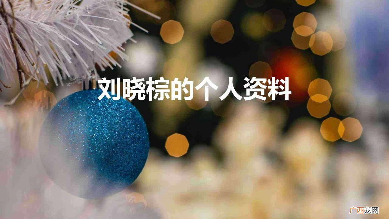 刘晓棕是任正非大女儿的第几任丈夫 刘晓棕的个人资料