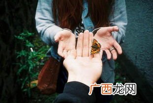 女a男o设定什么意思,版本号A/0是什么意思？