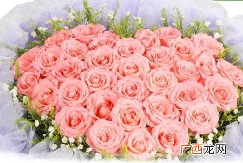 十一朵玫瑰代表什么意思,第一次给恋人送玫瑰花送多少朵最合适？