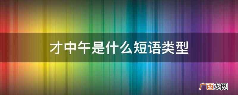 才中午是偏重短语类型。 才中午是什么短语类型