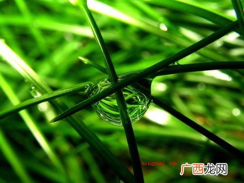 normal是什么意思