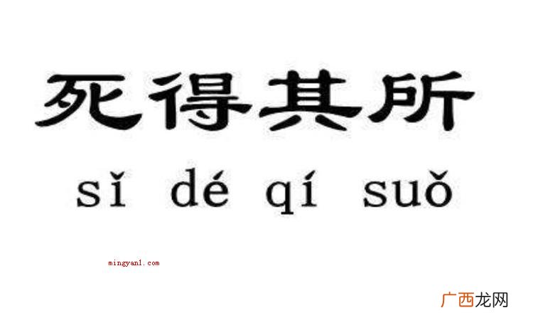 死得其所的所是什么意思