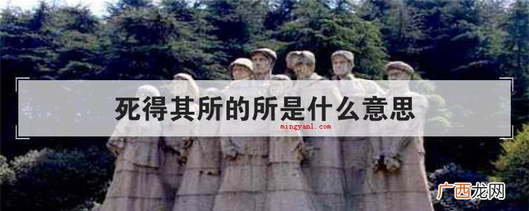 死得其所的所是什么意思