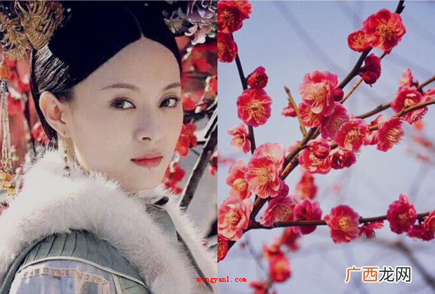 逆风如解意容易莫摧残什么意思