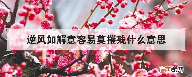 逆风如解意容易莫摧残什么意思