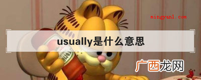 usually是什么意思