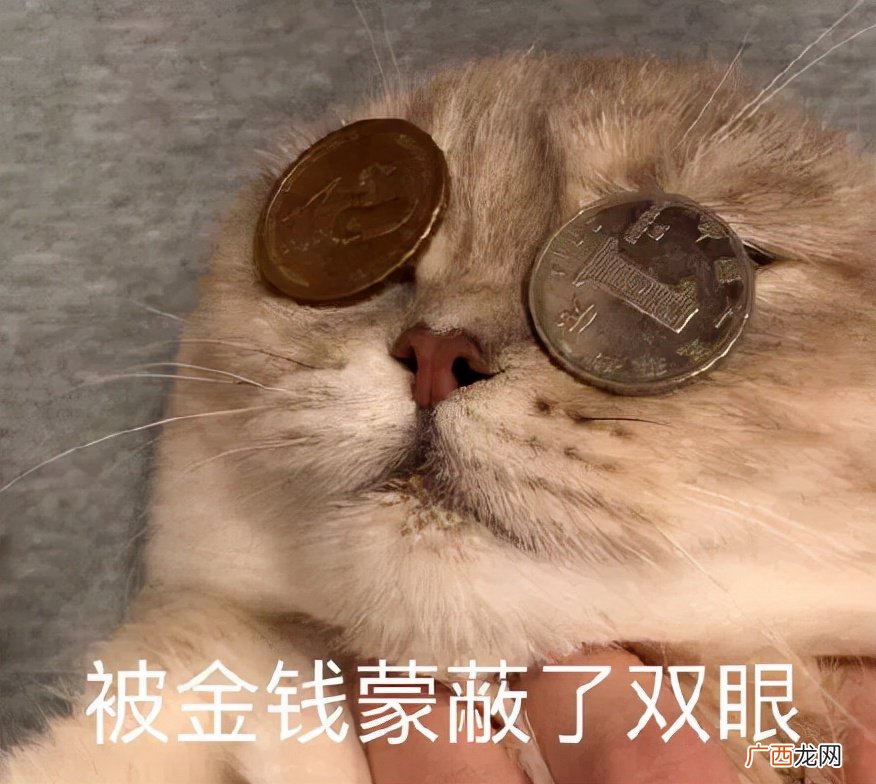 去英国留学到底要花多少钱 40万一年英国留学够吗