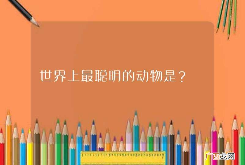 世界上最聪明的动物是？