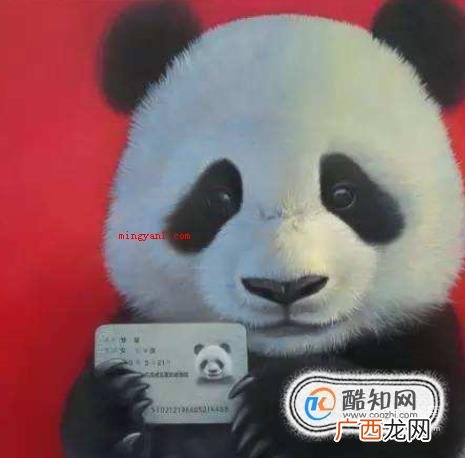 如何拍好身份证照片?