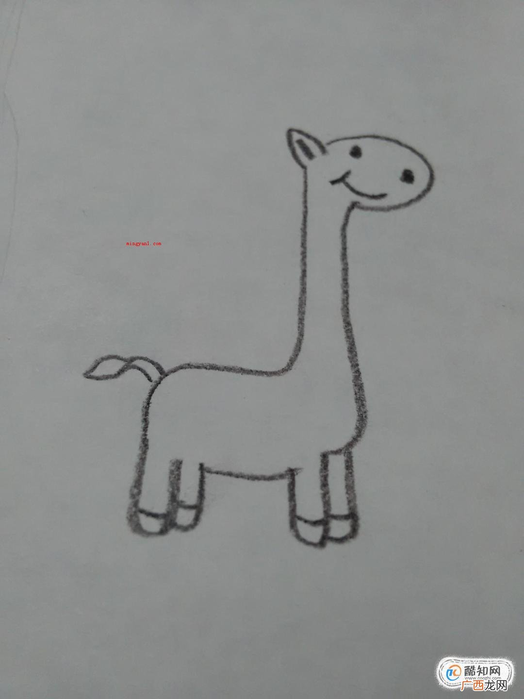 长颈鹿简笔画怎么画?可爱长颈鹿怎么画