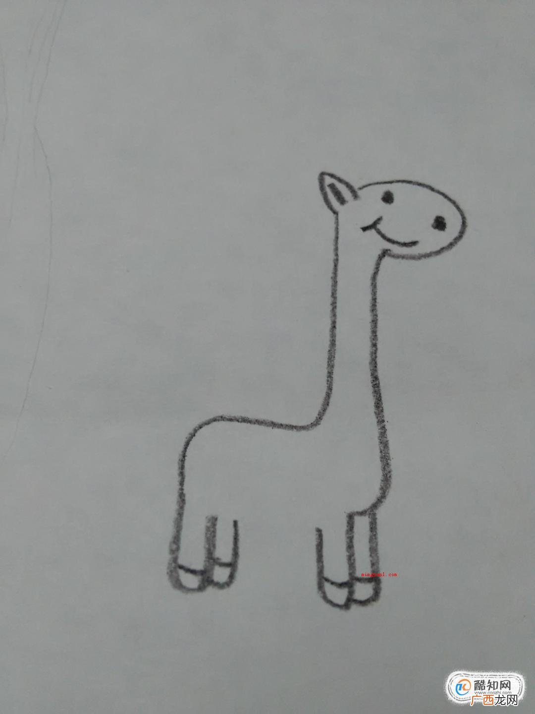 长颈鹿简笔画怎么画?可爱长颈鹿怎么画