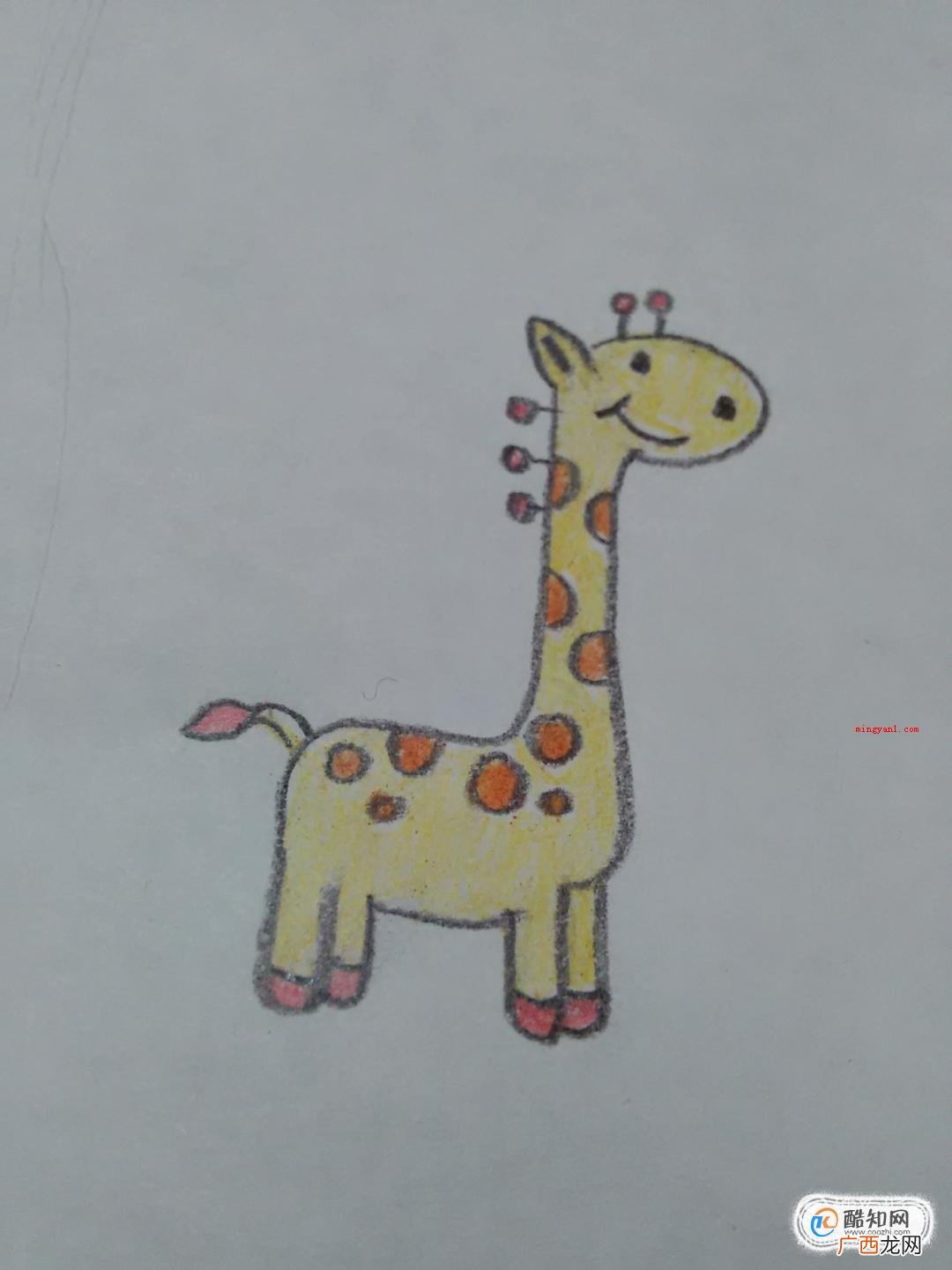 长颈鹿简笔画怎么画?可爱长颈鹿怎么画