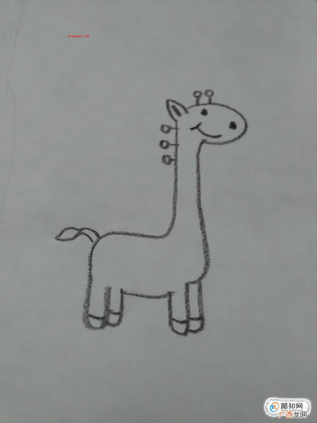 长颈鹿简笔画怎么画?可爱长颈鹿怎么画