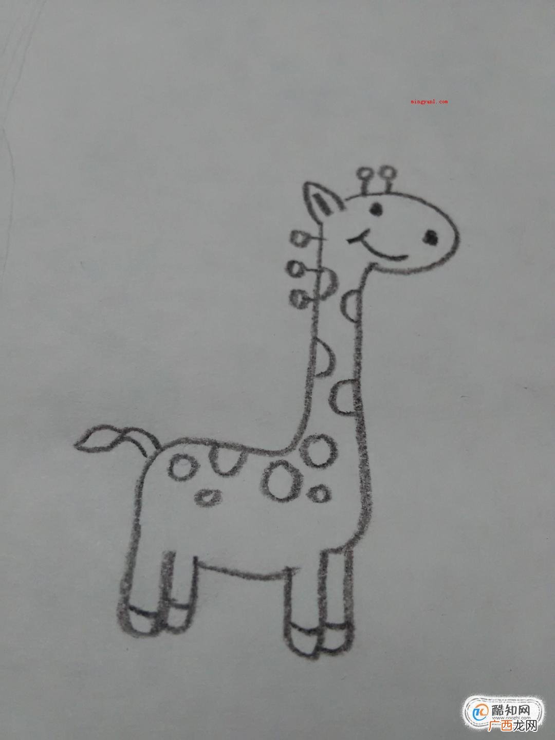 长颈鹿简笔画怎么画?可爱长颈鹿怎么画