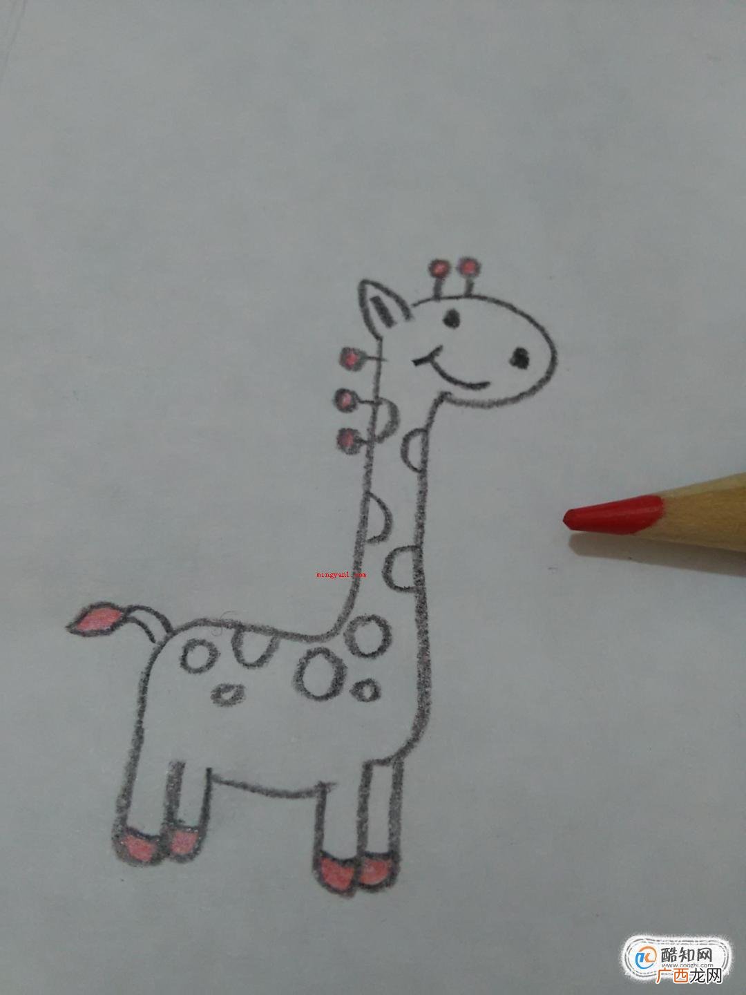 长颈鹿简笔画怎么画?可爱长颈鹿怎么画