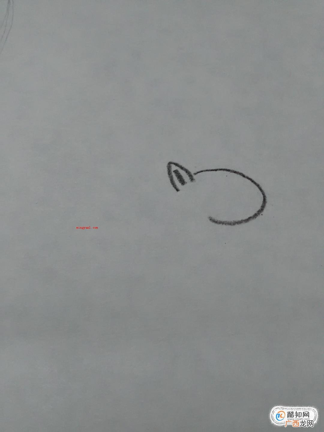 长颈鹿简笔画怎么画?可爱长颈鹿怎么画
